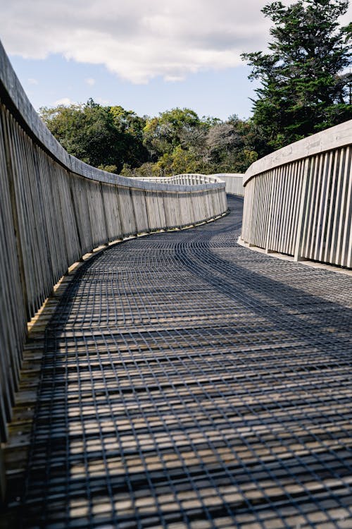 Fotos de stock gratuitas de arboles, barrera, construcción