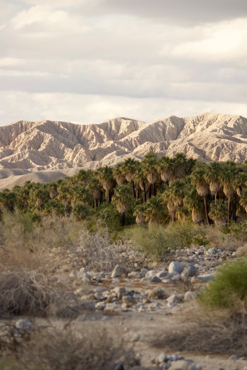 Foto profissional grátis de areia, colinas, deserto