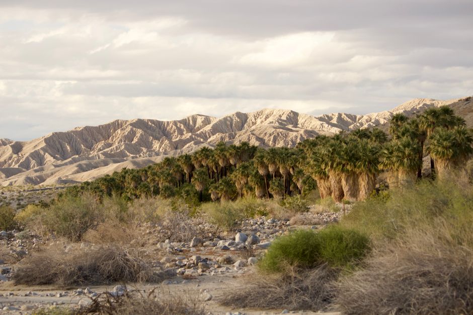 Agua Caliente Band Lobbies Telegraph Advisors on Water Rights