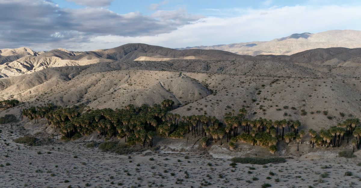 Scenic aerial view of the arid desert landscape with palms in Willis Palms, California.