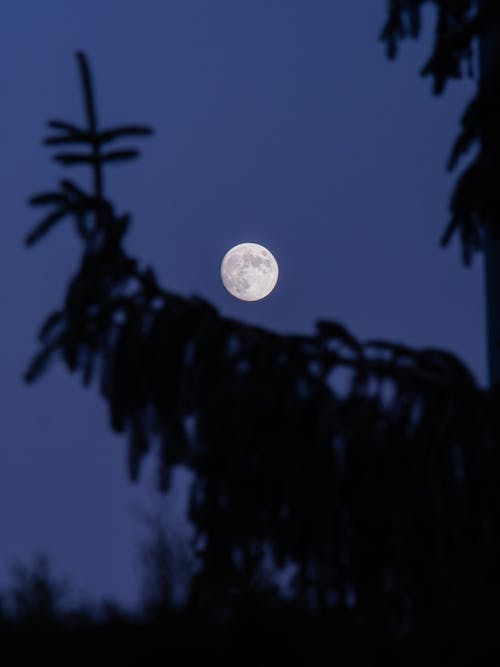 分公司, 垂直拍摄, 夜空 的 免费素材图片