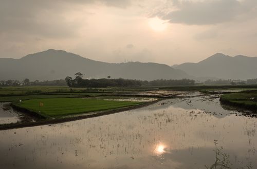Free Tamilnadu Stock Photo
