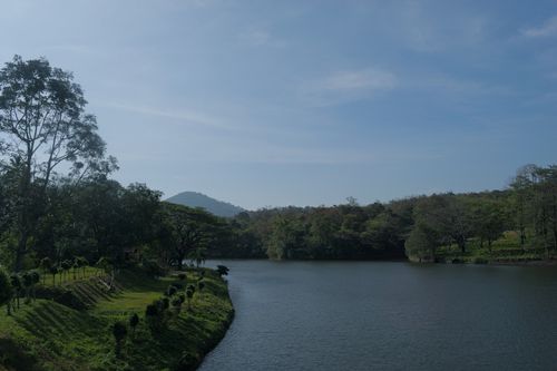 Free Tranquil riverside scene with lush greenery and clear blue sky, perfect for nature and travel themes. Stock Photo