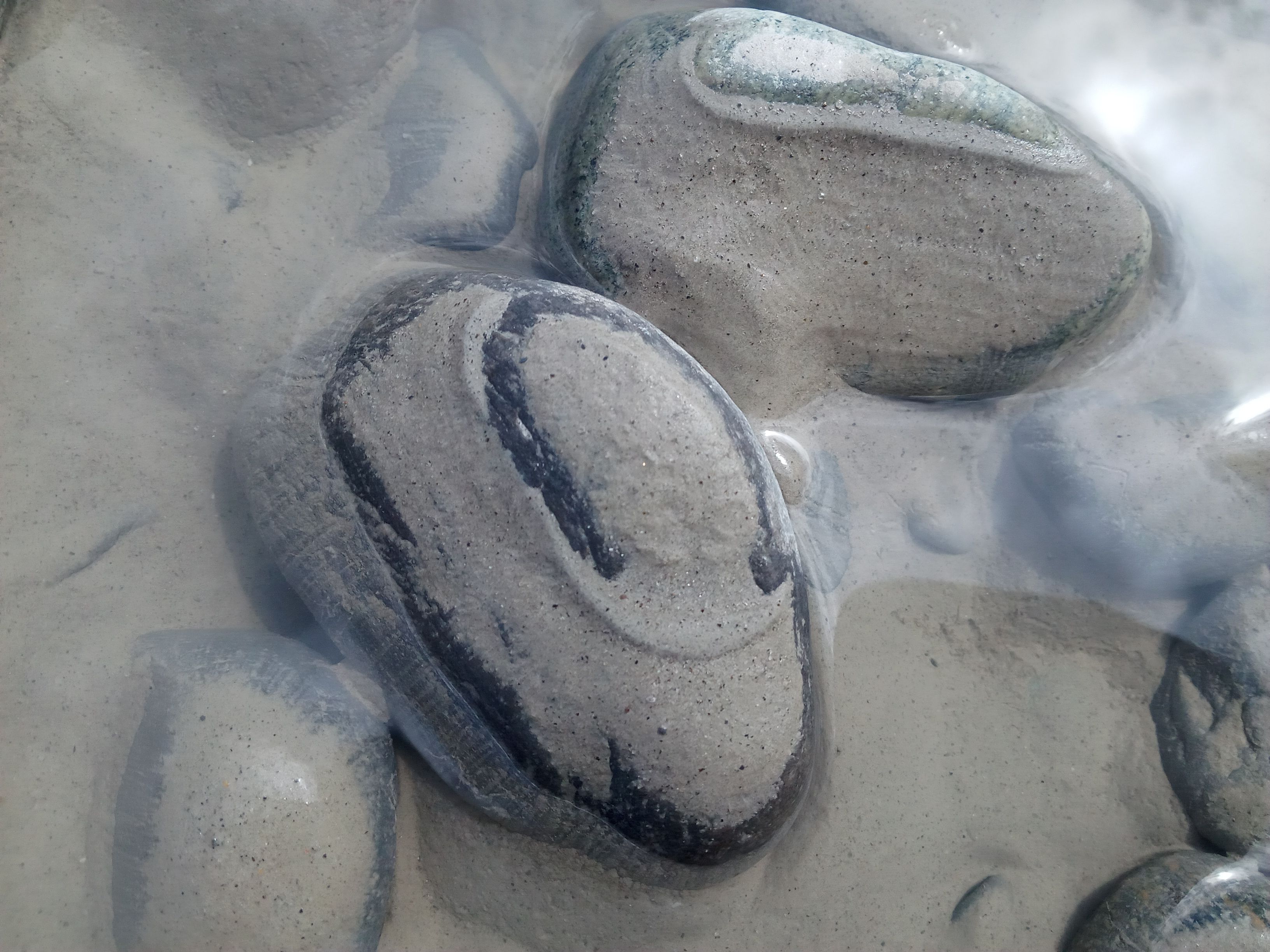 Close-up of smooth stones submerged in clear water, revealing intricate textures and patterns.