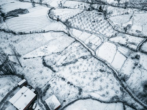 Darmowe zdjęcie z galerii z boiska, drzewa, fotografia lotnicza