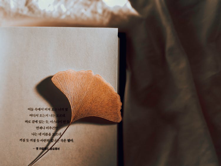 Dried Leaf On A Korean Book