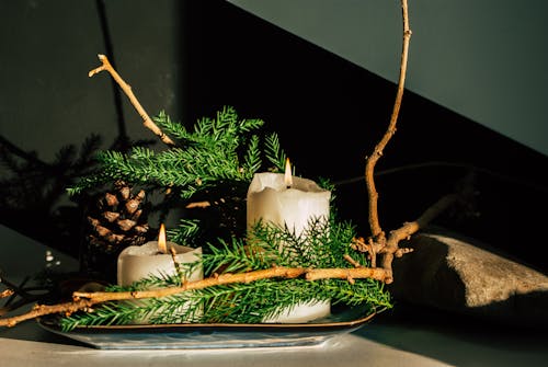 Lit Candles on Tray with Pine Cones and Fir Branches