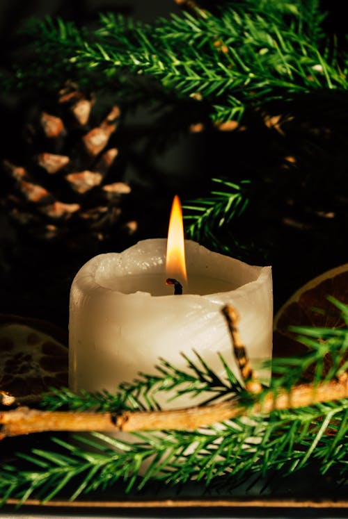 Burning Candle among Pine Cones and Fir Branches