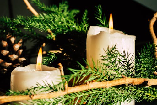 Бесплатное стоковое фото с горящая свеча, декорация, еловые ветки