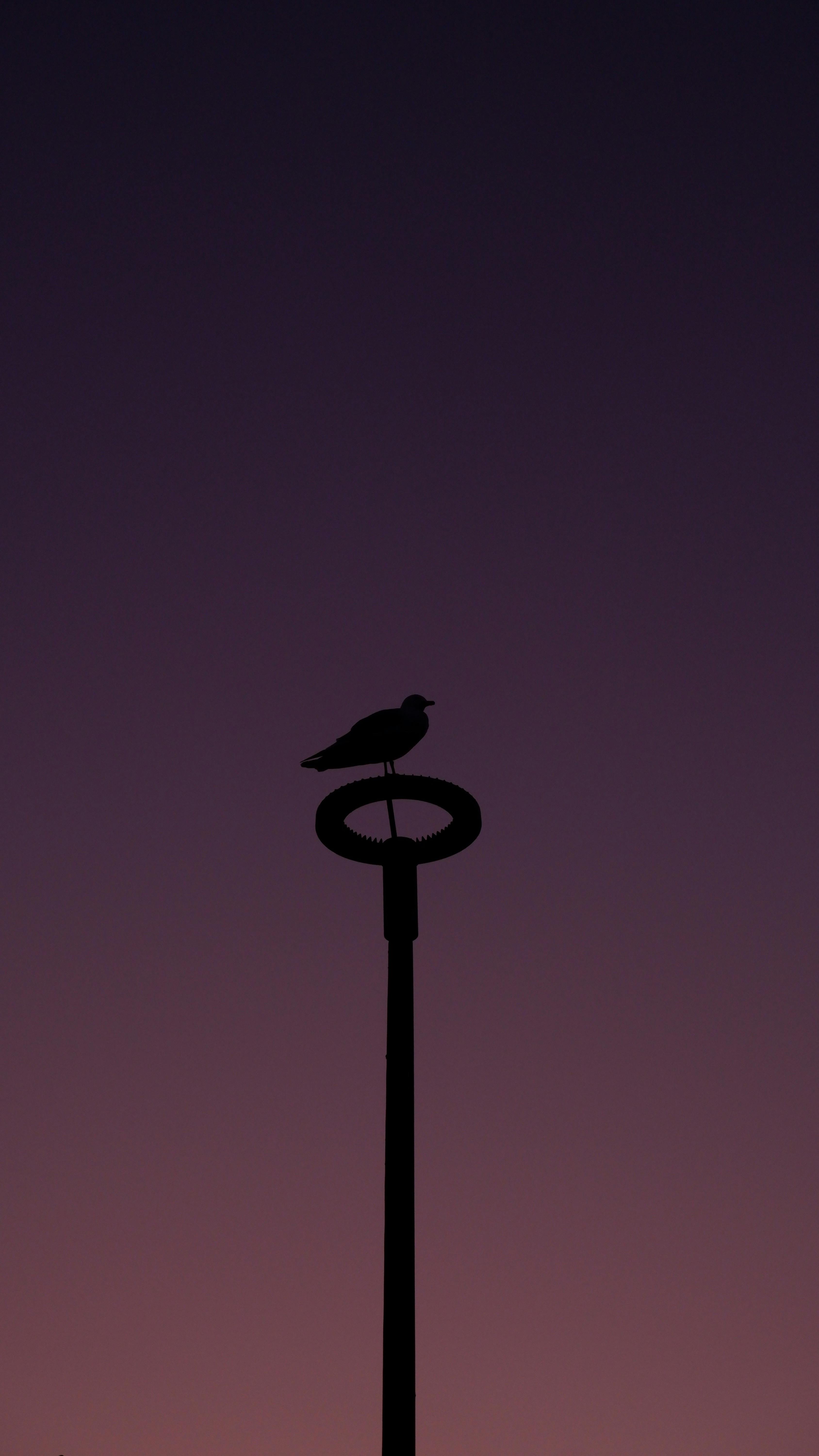 Gratis lagerfoto af åben himmel, aften, bylandskab Lagerfoto