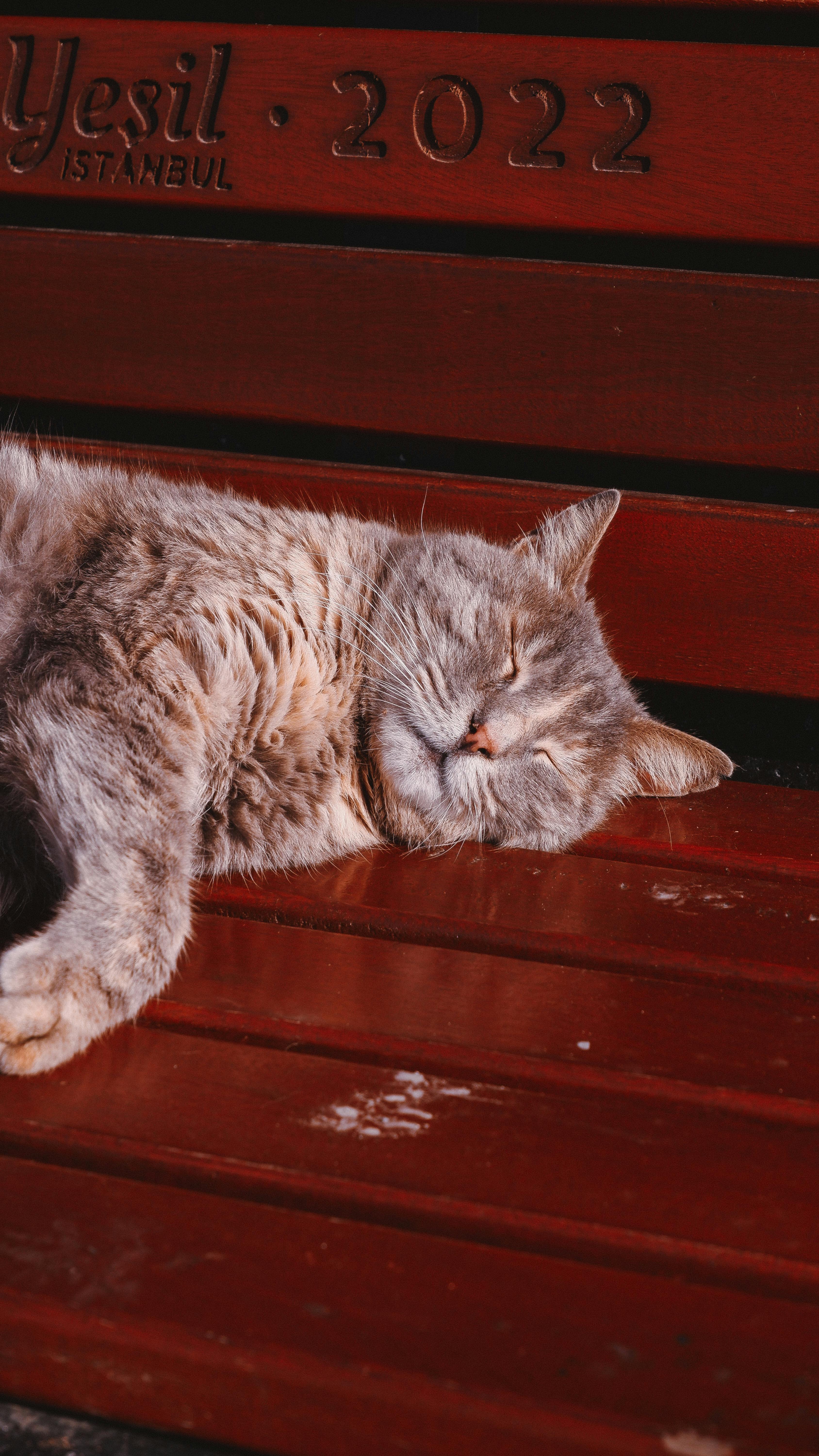Güneş Enerjisi Alanında Başarılı Olmanın Anahtarı: Yeşil İş Kültürü Oluşturma Yöntemleri