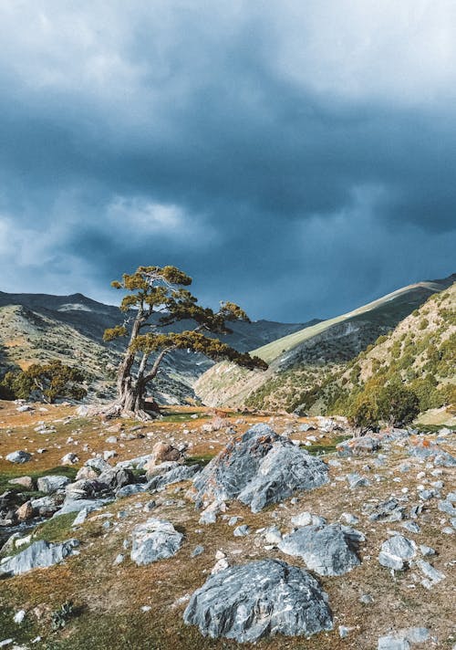 Scenic Mountainous Landscape