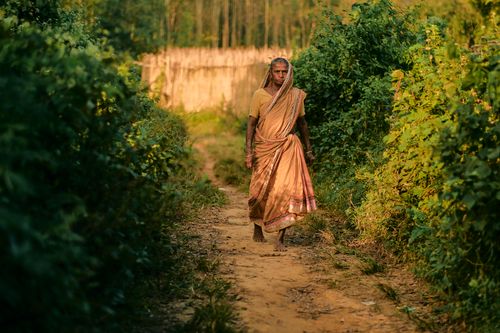 Free Elderly woman in traditional saree walking on a rural dirt path surrounded by greenery. Stock Photo