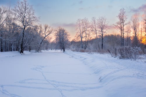 公園, 冬季, 景觀 的 免费素材图片