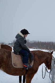 Child horseback riding a brown horse in a snowy, rural setting during winter.