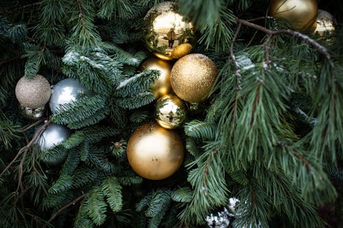 Fotos de stock gratuitas de adornos, árbol, árbol de Navidad