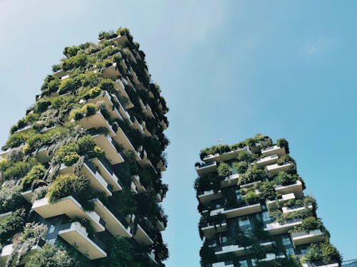 bosco verticale, 住宅, 住宅区 的 免费素材图片