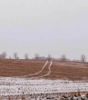 A tranquil winter scene featuring a snow-dusted rural field with bare trees under an overcast sky.