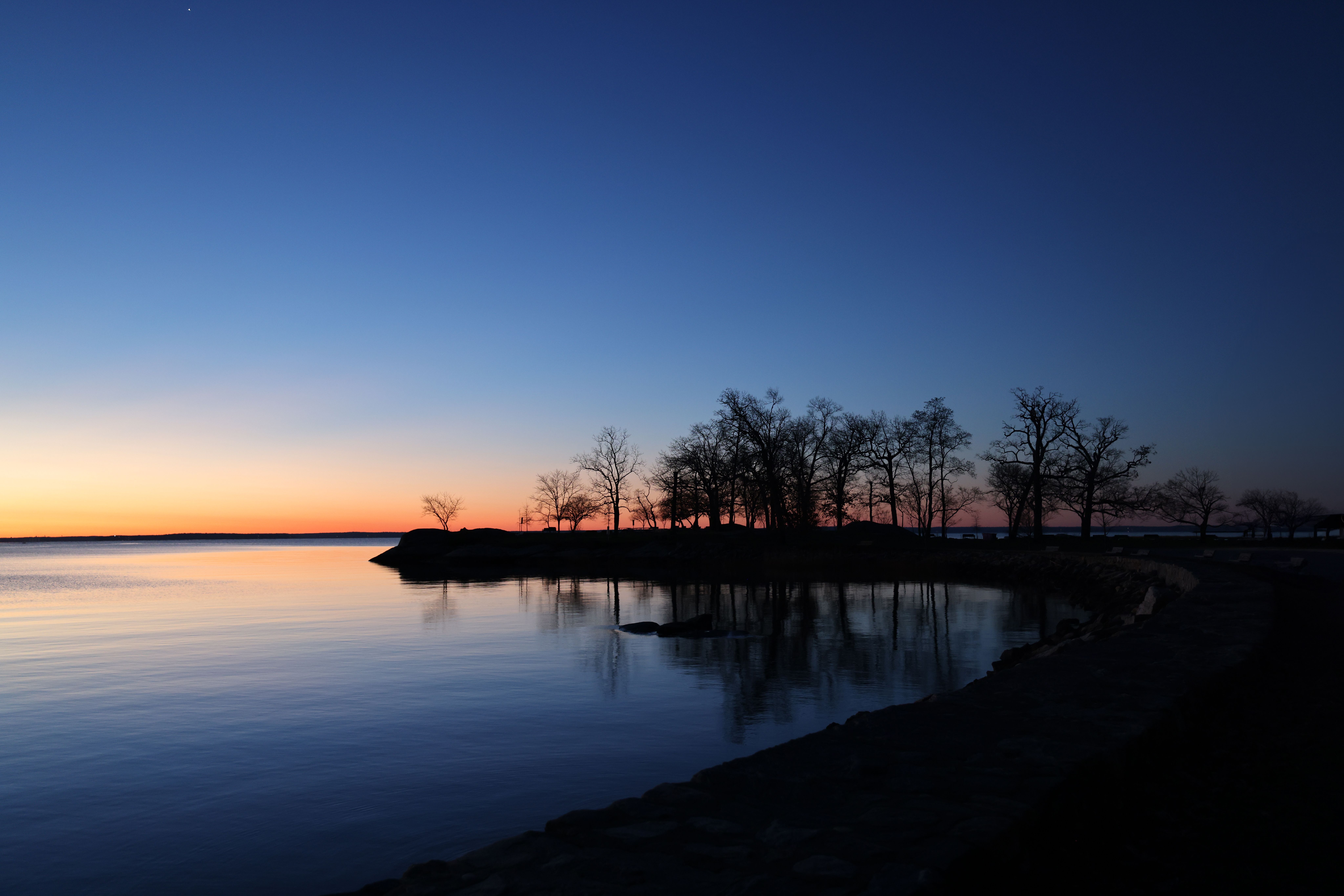 Silhouette of Trees by the Lake · Free Stock Photo