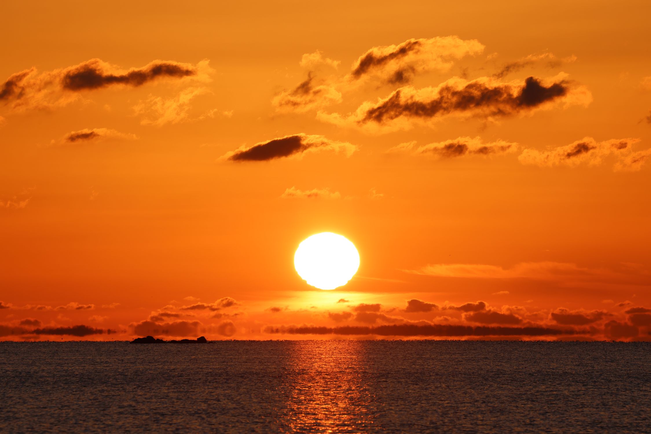 Sun on Yellow Sky over Sea at Sunset · Free Stock Photo