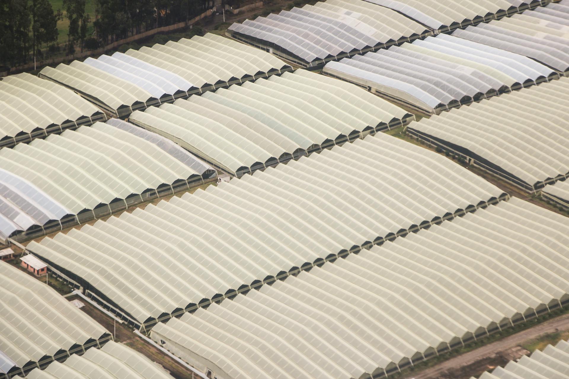 Plastic Roofs on a Farm