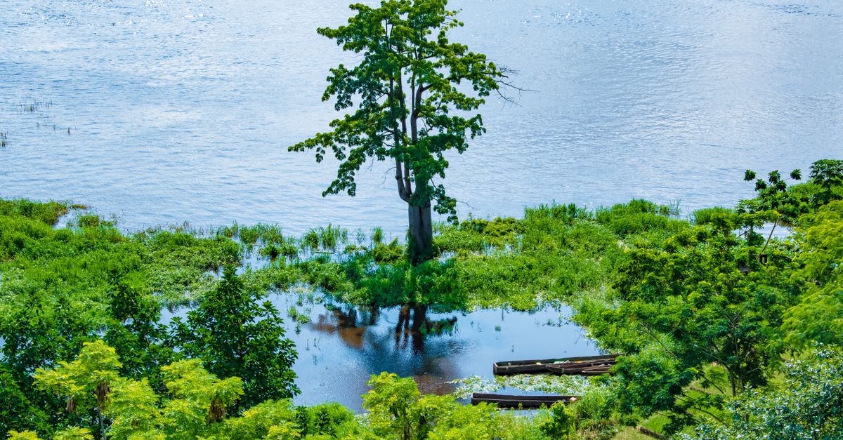 Congo - Brazzaville travel destination