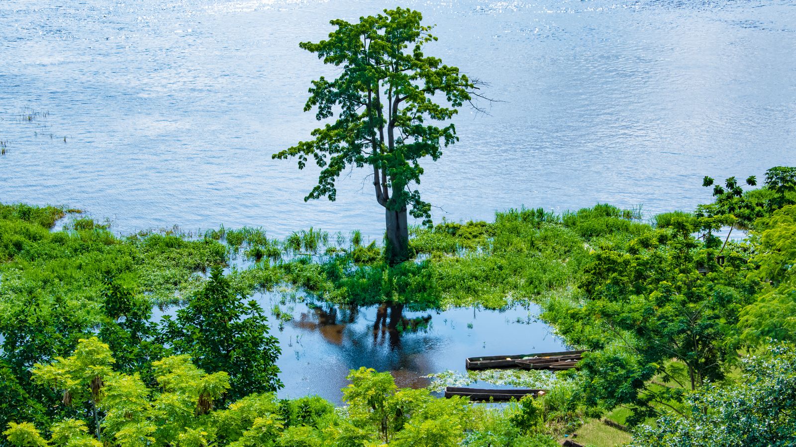 Green trees on lakeshore, Burundi