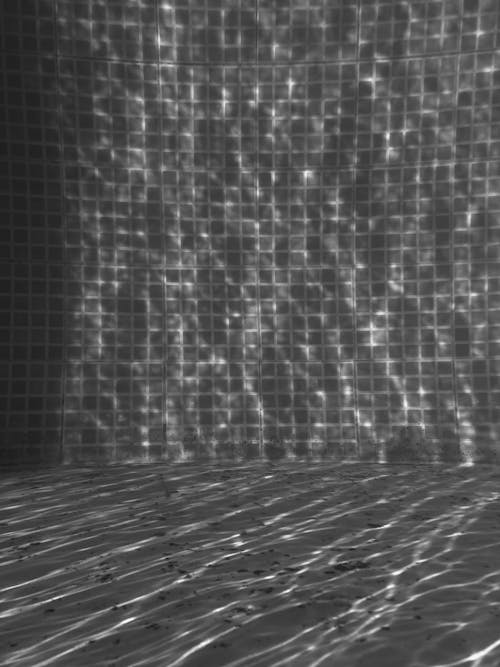 Kostnadsfri bild av gråskale, simbassäng, svartvitt
