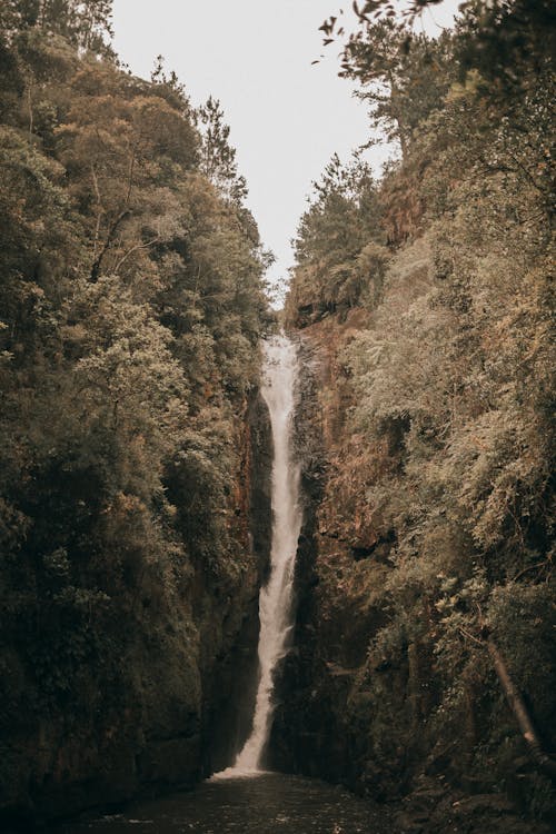 Waterfall and River Landscape