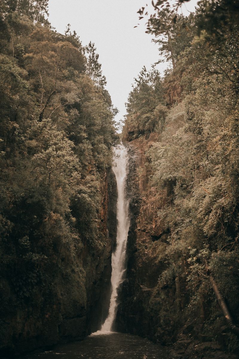 Waterfall cascading through lush forest