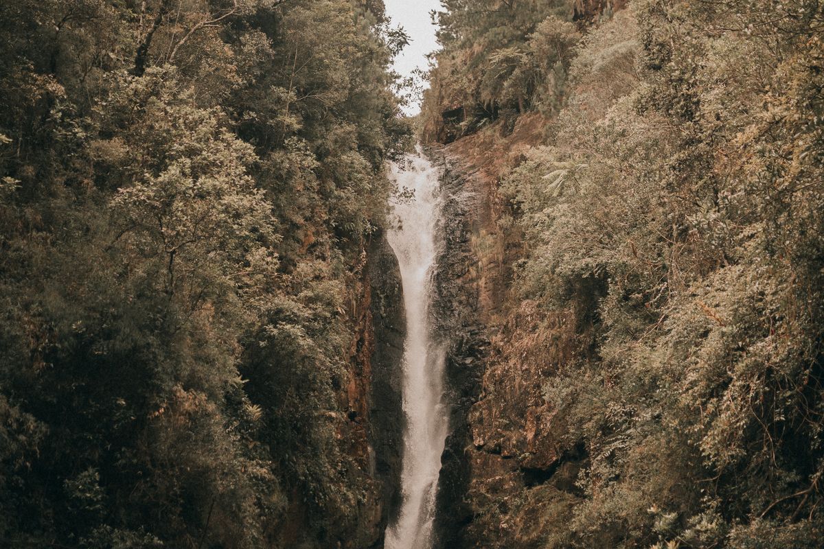 Sundari Waterfalls cascading down rocky cliffs surrounded by dense green forest