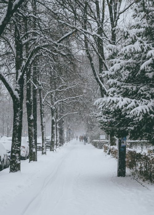 Free A serene winter scene in Munich with snow-covered trees and sidewalks. Stock Photo
