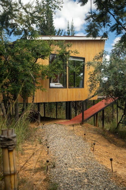 View of a Wooden Tree House in a Forest 