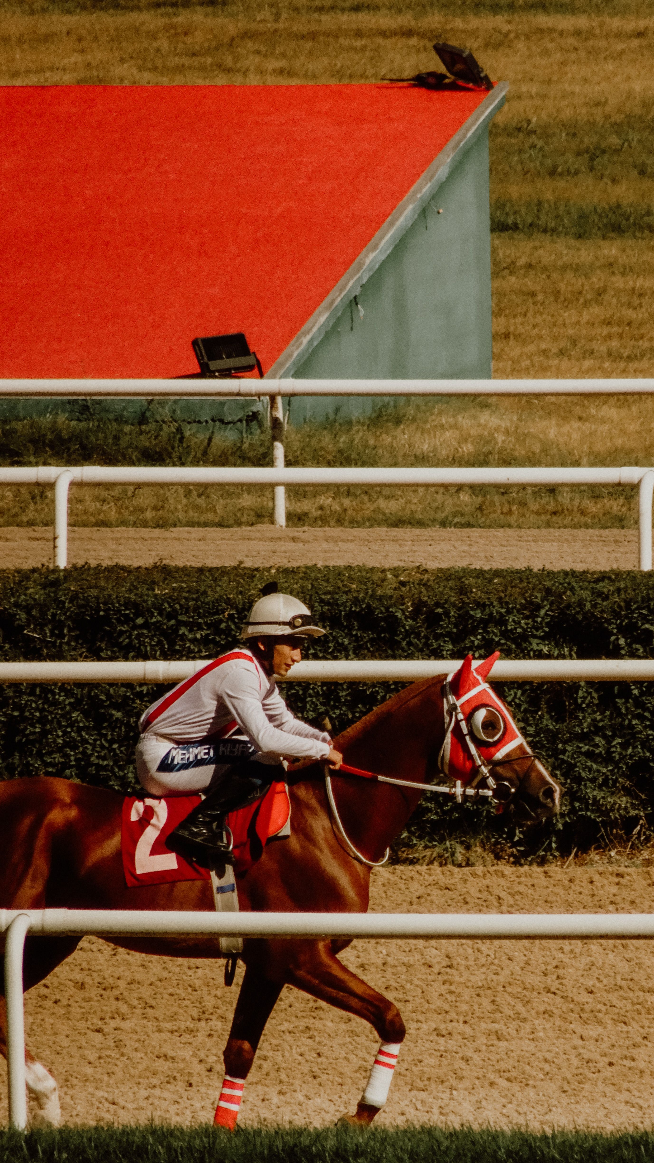 A horse and jockey driving to the line