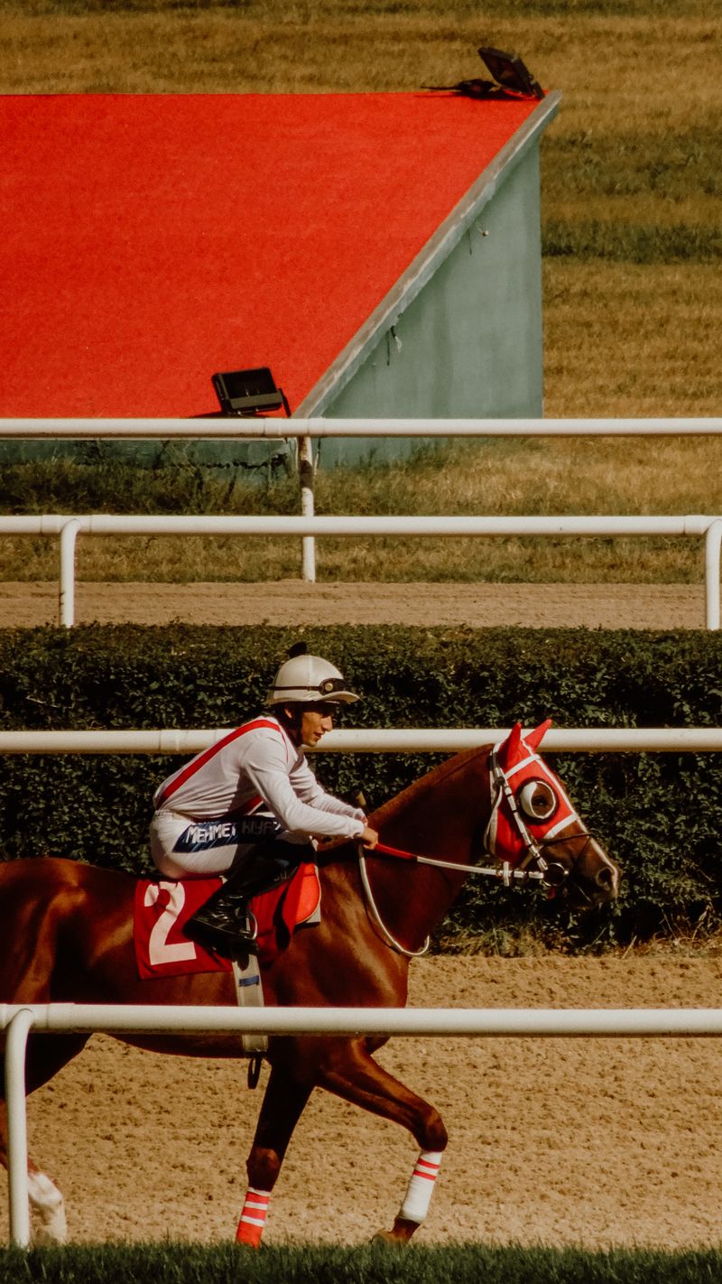 Jockey riding a horse at a race, Epsom-style flat racing