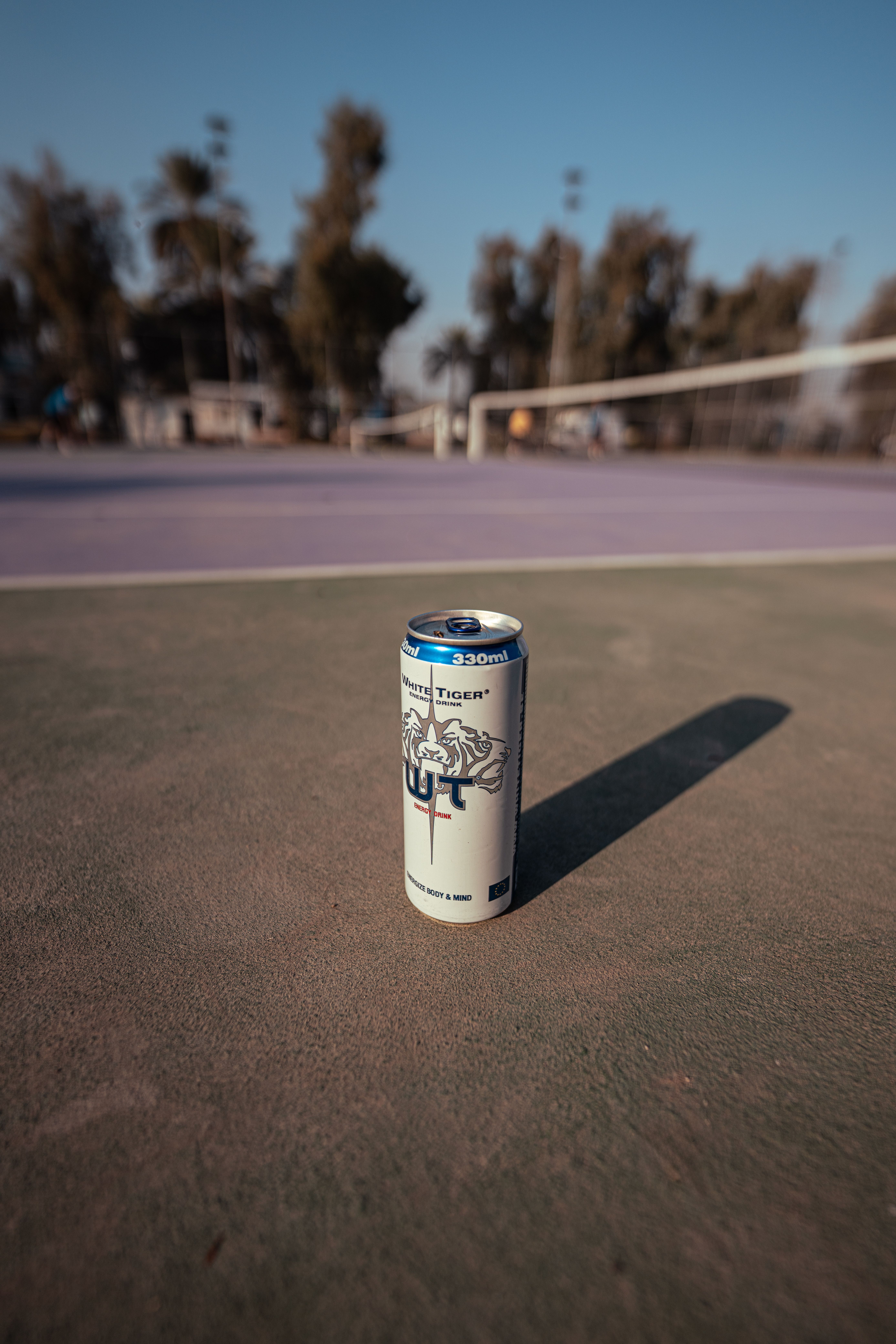 Lemonade (330ml)