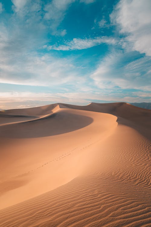 Daytime Sand Dune 
