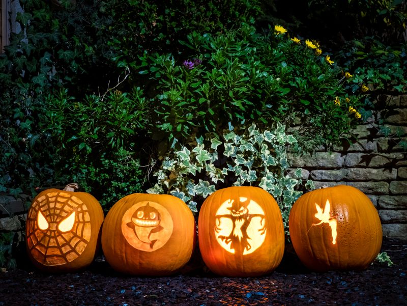 Row of carved pumpkins glowing in a fall garden