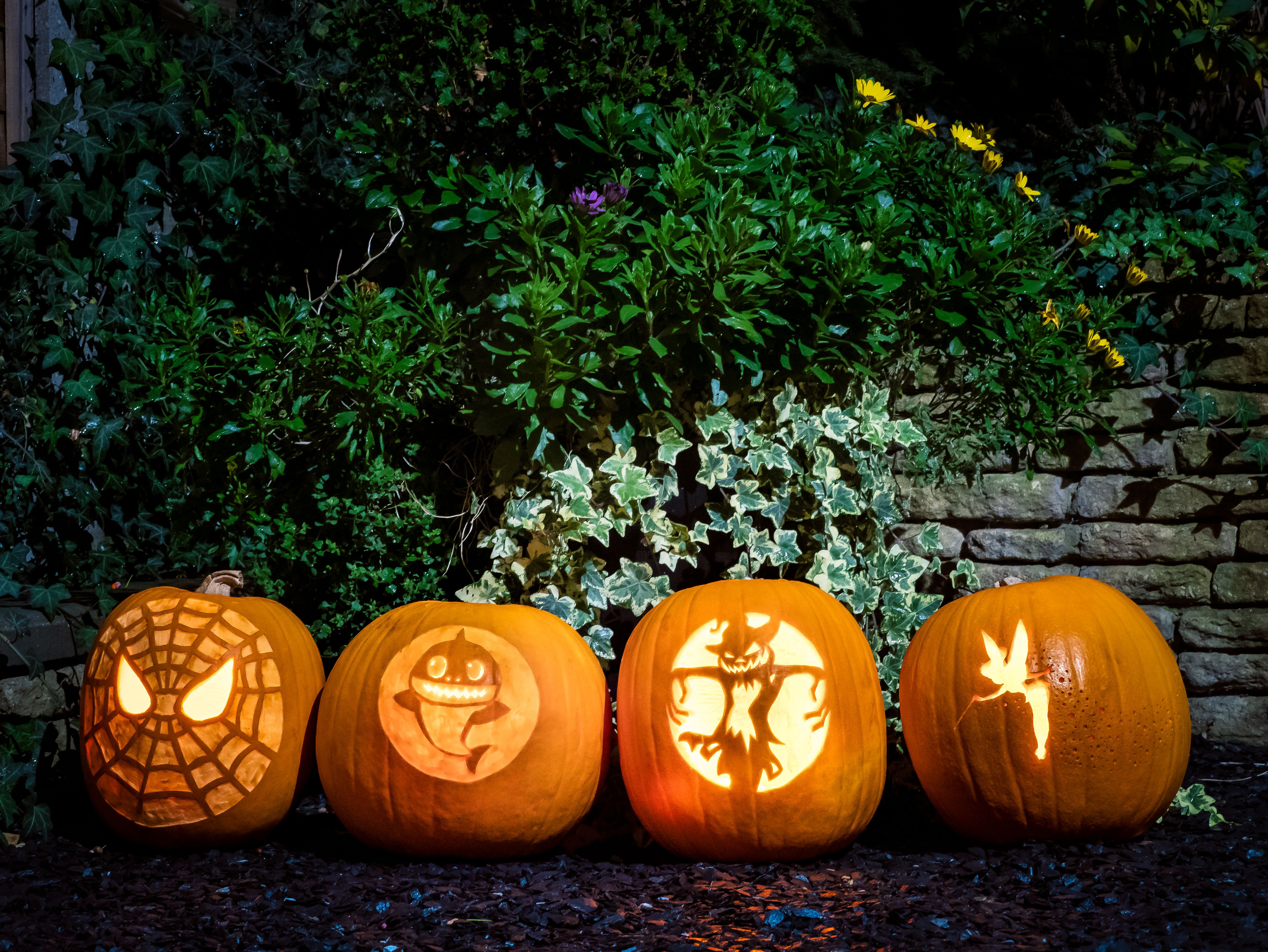A Row of Carved Pumpkins Standing in a Garden · Free Stock Photo