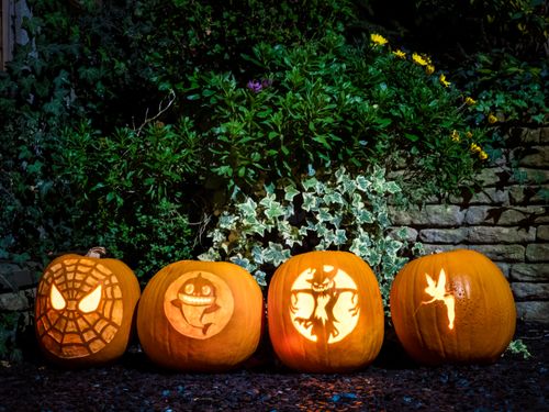 Free Four carved Halloween pumpkins glowing brightly in a garden setting at night, perfect for spooky seasonal decor. Stock Photo