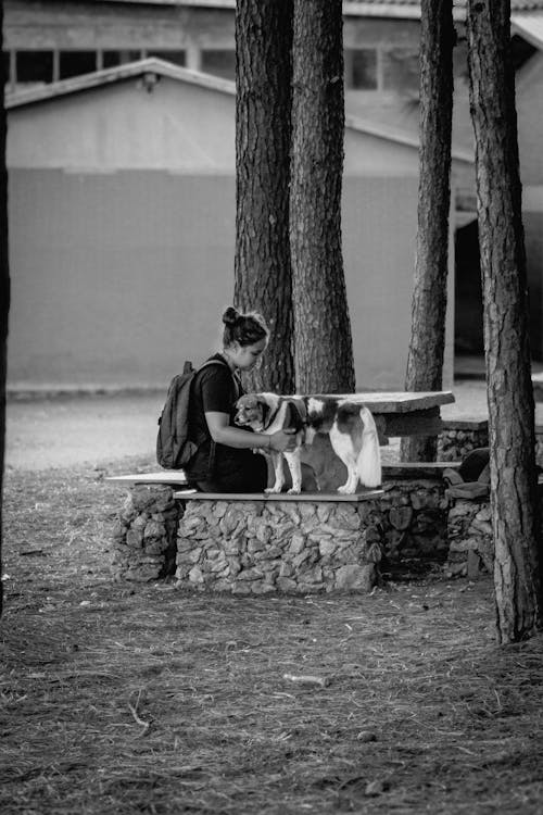 Δωρεάν στοκ φωτογραφιών με bnw, ασπρόμαυρο, εννοιολογική φωτογραφία