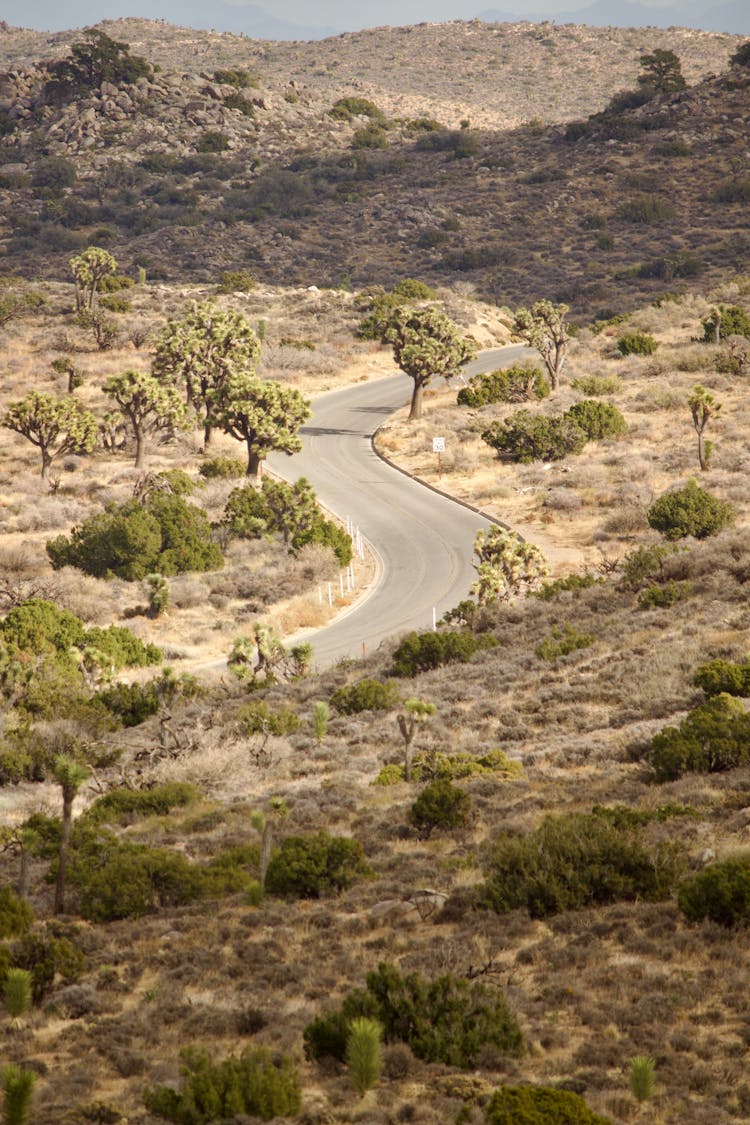 Winding Road Through National Park In California