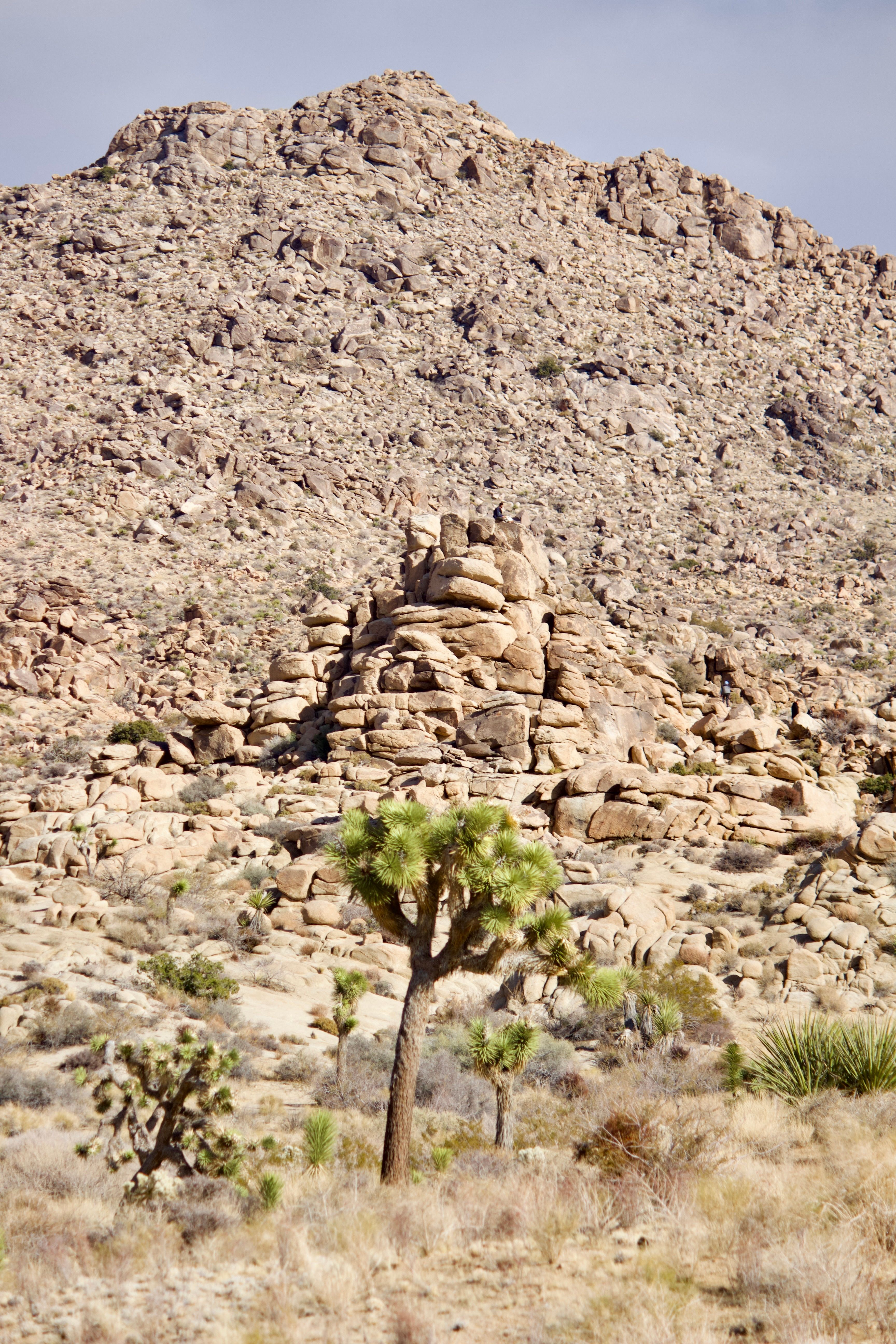 Rocks in Joshua Tree National Park · Free Stock Photo