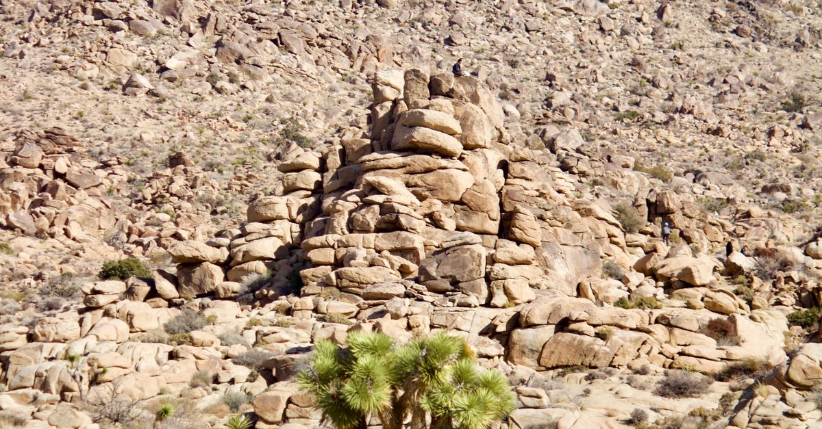 Rocks in Joshua Tree National Park · Free Stock Photo