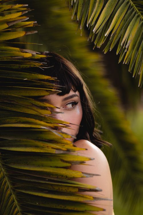 Free A woman peeking through lush tropical palm leaves, creating a mysterious natural scene. Stock Photo