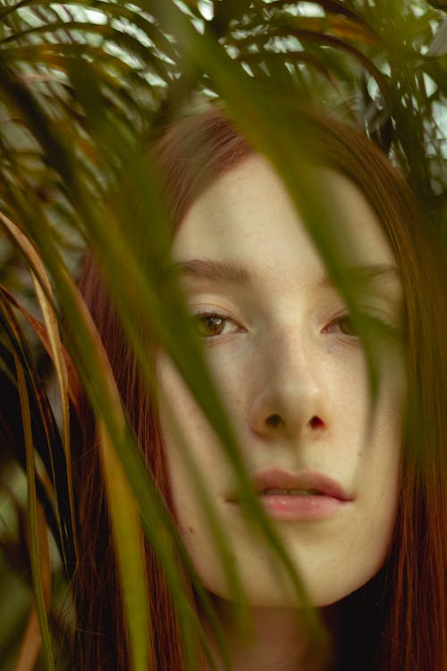 Free Close-Up Photo of Woman's Face Near Leaves Stock Photo
