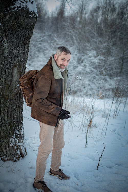 Foto d'estoc gratuïta de arbres, arbusts, bosc