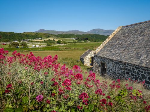 Free Charming stone barn surrounded by wildflowers and rolling hills in Gwynedd, Wales. Stock Photo