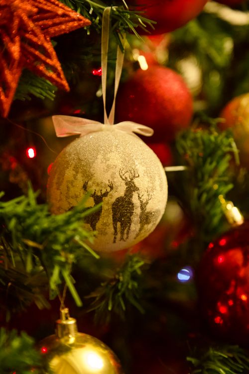 Free Close-up of a festive ornament with reindeer design hanging on a Christmas tree. Stock Photo