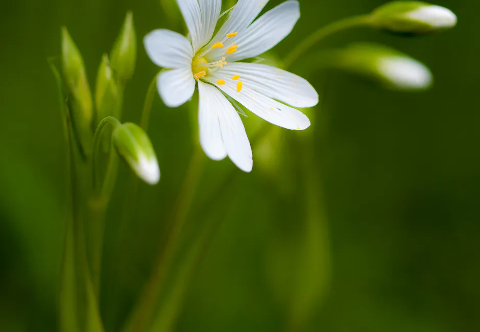 Manfaat olahraga buat kesehatan - gambar berkualitas